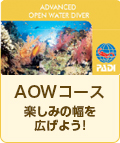 AOWコース