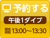 午後：ご予約はこちら