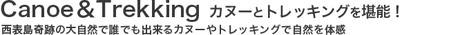 カヌーとトレッキングを堪能！西表島奇跡の大自然で誰でも出来るカヌーやトレッキングで自然を体感