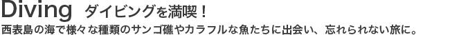 ダイビングを堪能！西表島の海で様々な種類のサンゴ礁やカラフルな魚たちに出会い、忘れられない旅に。