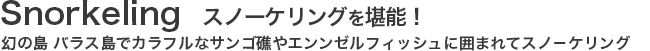 スノーケリングを堪能！幻の島 バラス島でカラフルなサンゴ礁やエンンゼルフィッシュに囲まれてスノ－ケリング