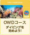 OWDコース