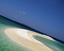 Snorkeling photo