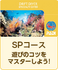 SPコース