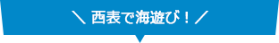 西表で海遊び！