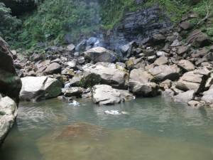 IMG_5152