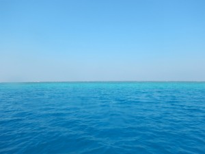 DSCN9472w
