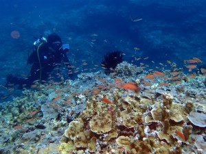 p9090509d