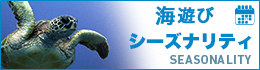 西表島「海遊び」シーズナリティ