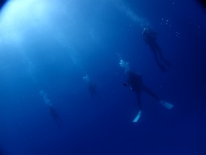 P6130172