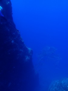 P708007d6