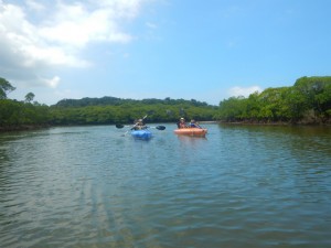 DSCN6592