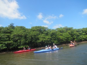 IMG_0079