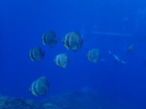 P9180046