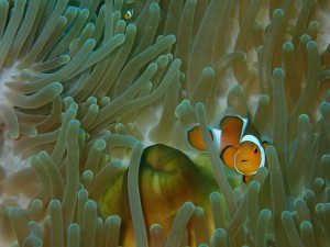 P7200058