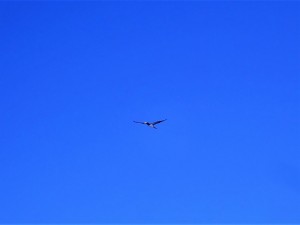 P7260792