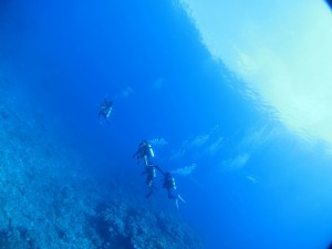 IMG_2780