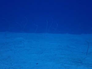 P9240054