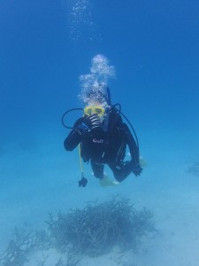 PB060017