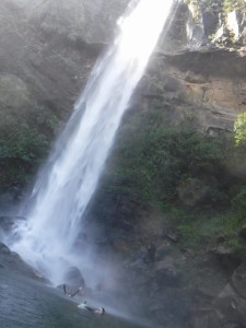 DSCF5467