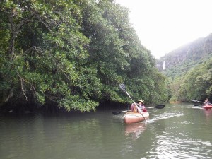 DSCF6352