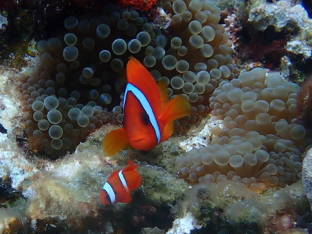 P6170128