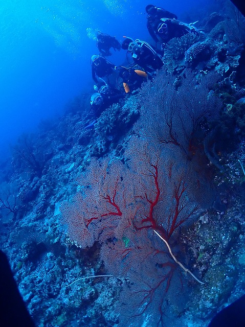 P6180064