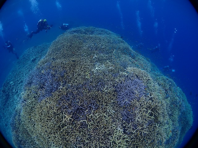 P6230033