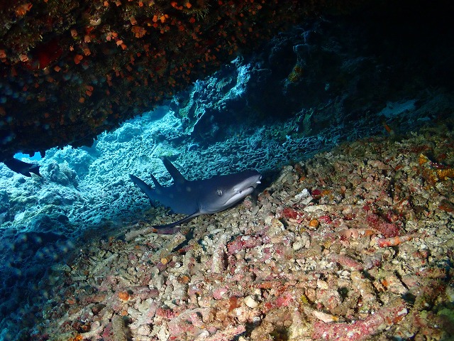P6230081