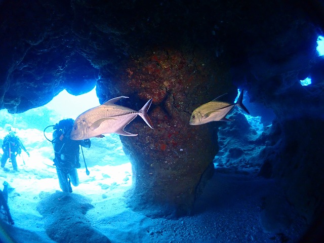 P6250006