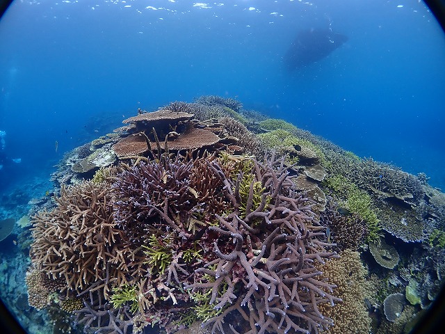 P6260133