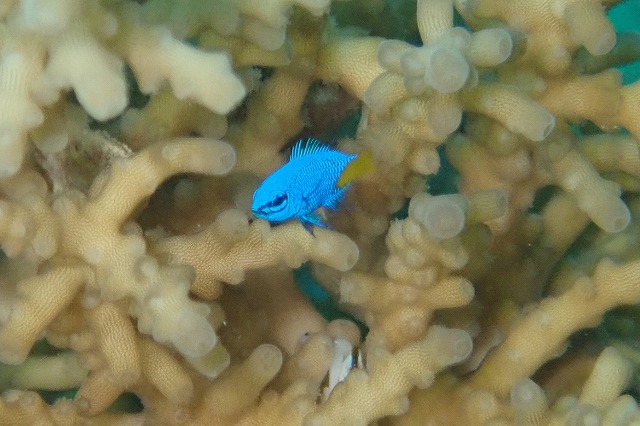 P7070081