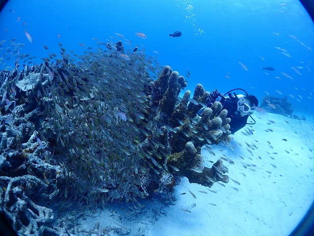 P7080083