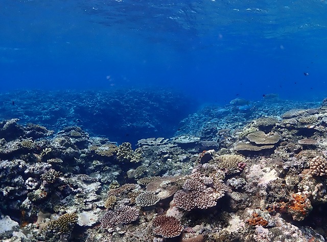 P7090094