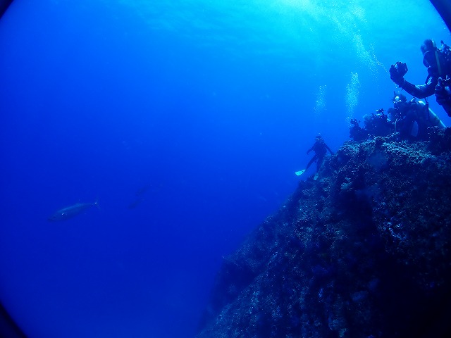 P7150137