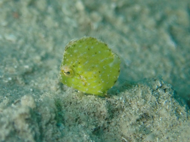 P7200258