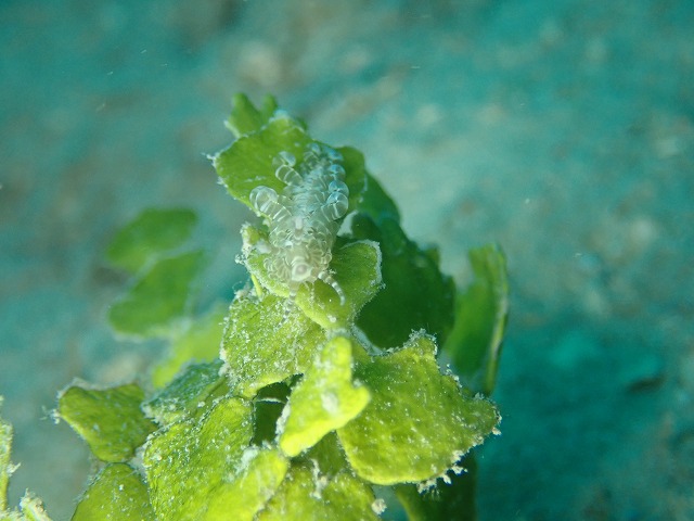 P7210203