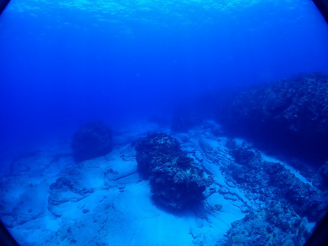 P7270053