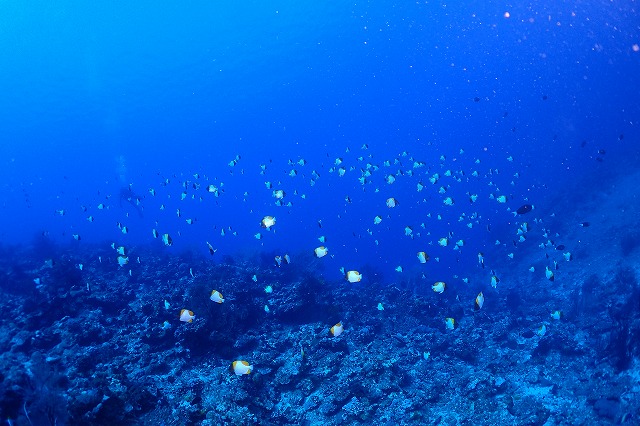 P7280159