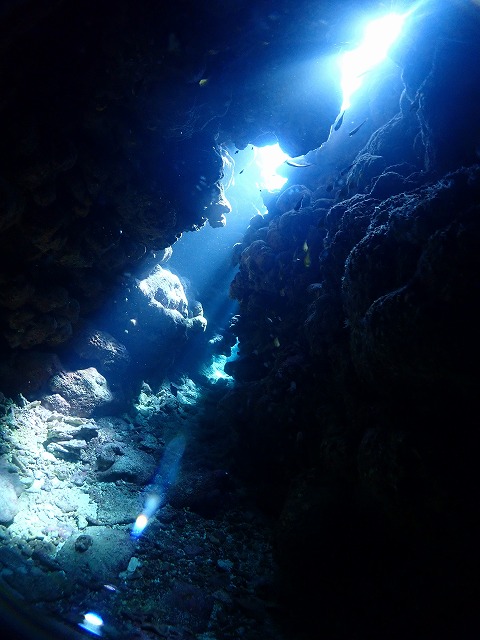 P8020060