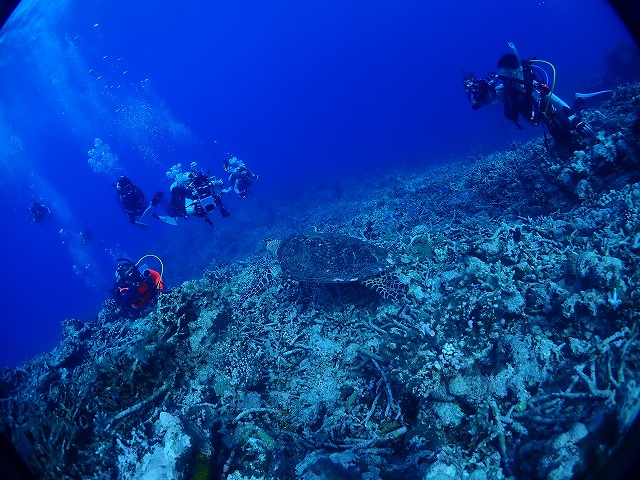 P8040011