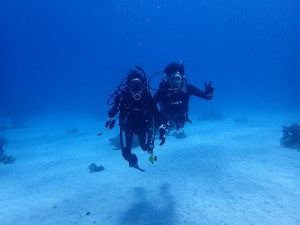 P8060015