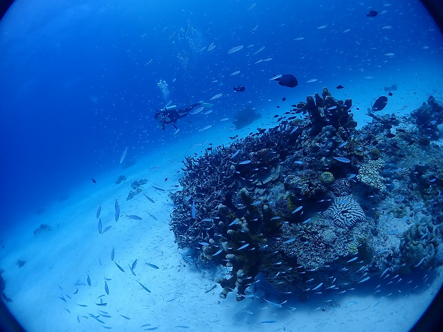 P8060076