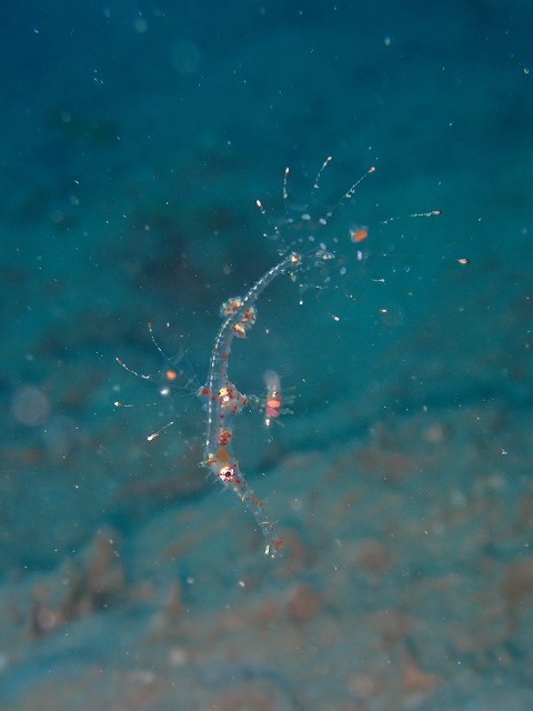 P8100128