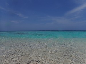 P8110545