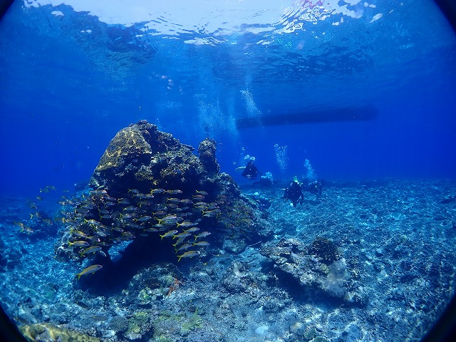 海底地すべり