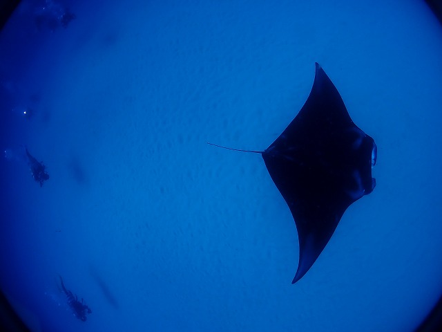 P8150031