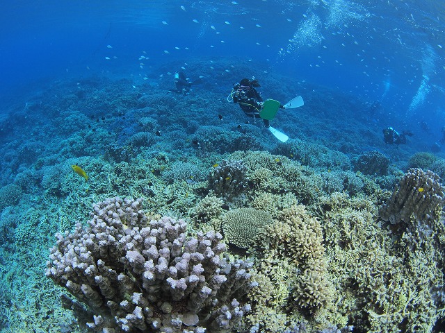 P8170093