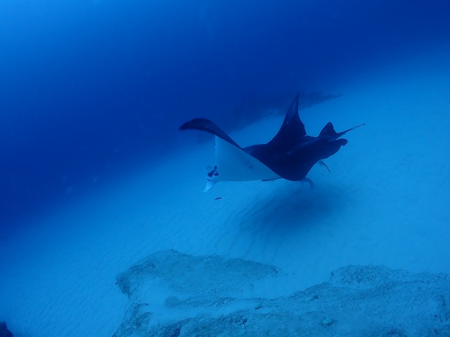 P8190104