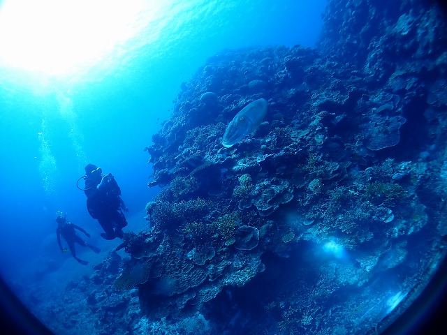 P8210267